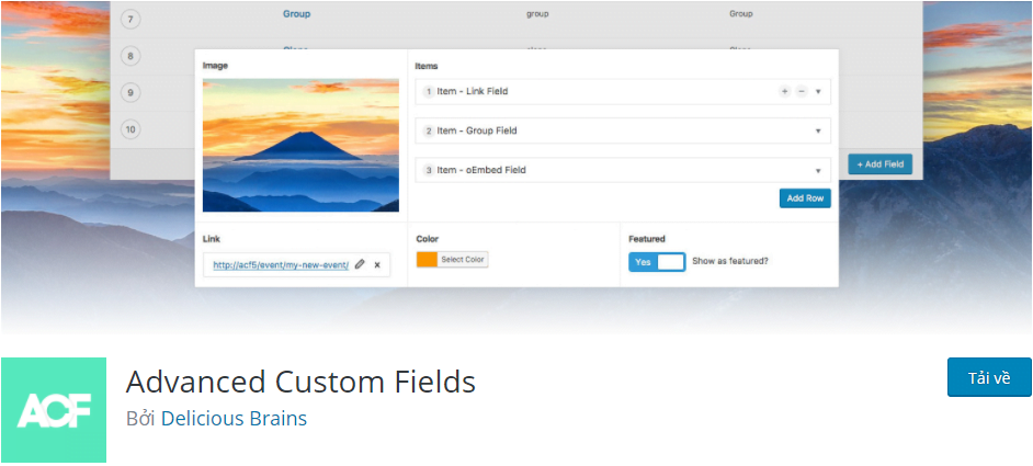 Advanced Custom Fields